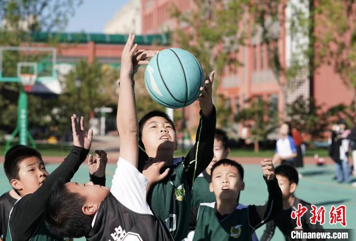 2023年第八届百队杯青少年篮球赛圆满落幕 多组别